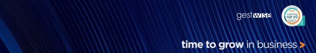 Gestwise — time to grow in business